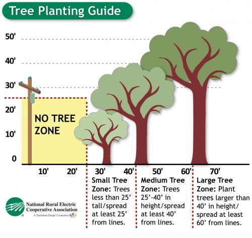 Tree planting guide with zones