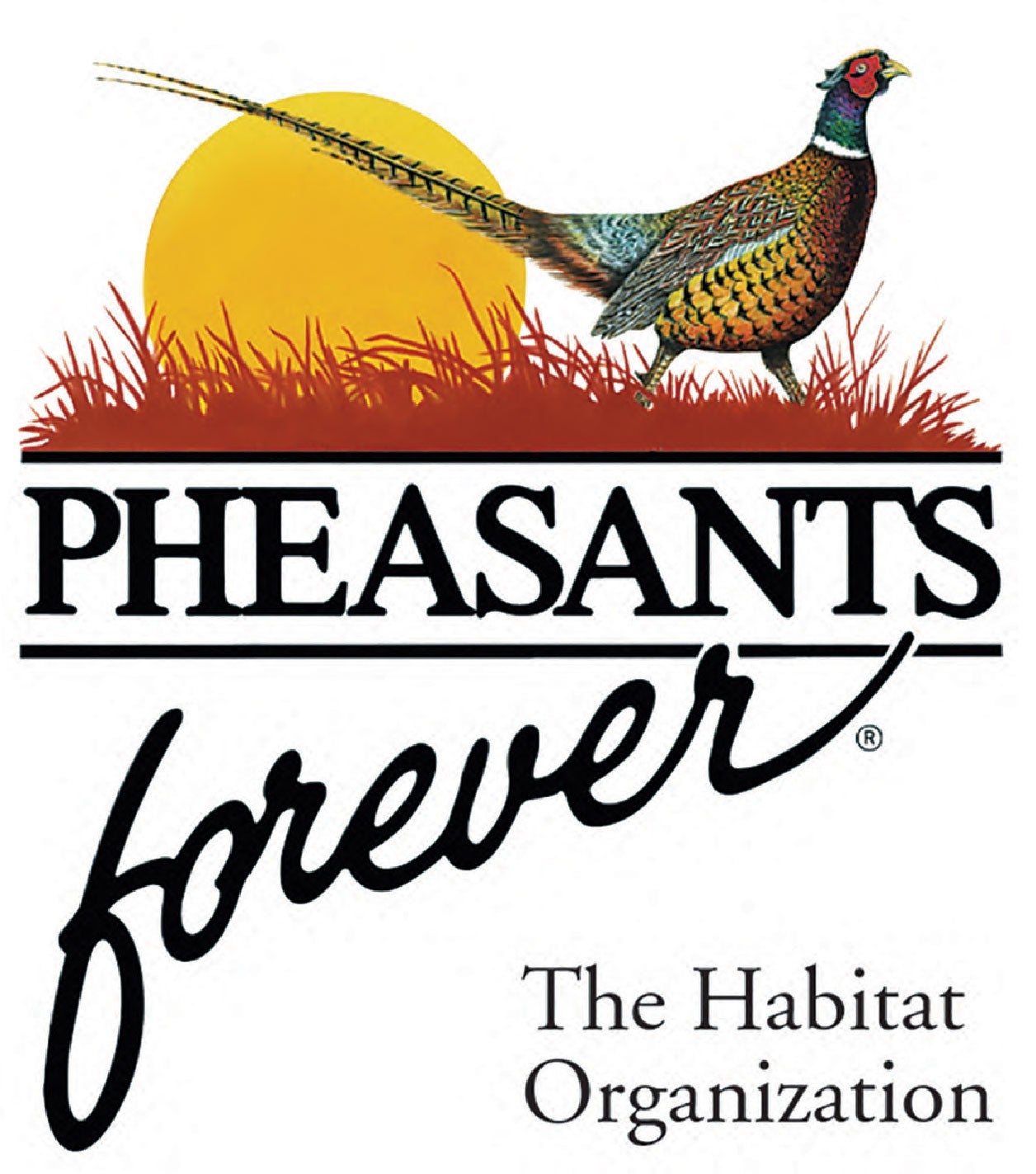 pheasants