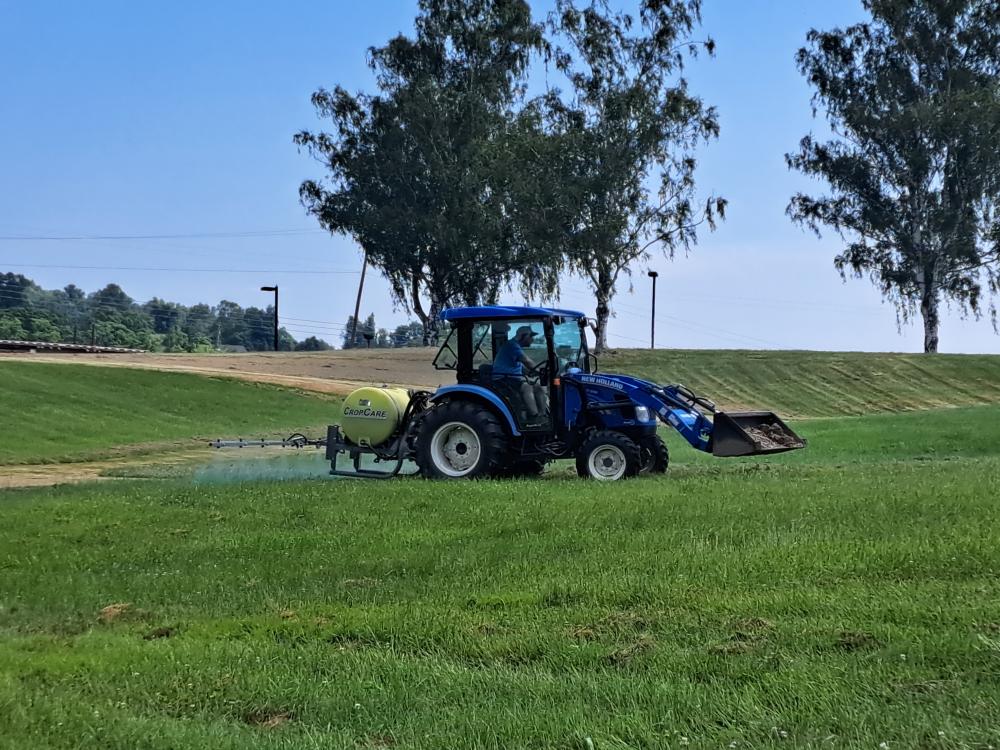 Spraying the grass