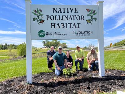 Group planting perennials under sign