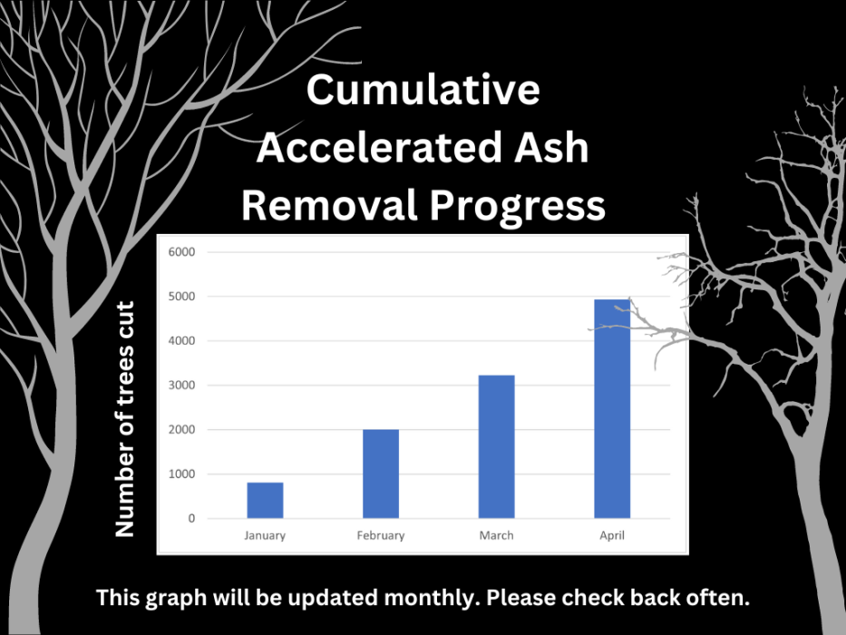 Cumulative progress to end of April