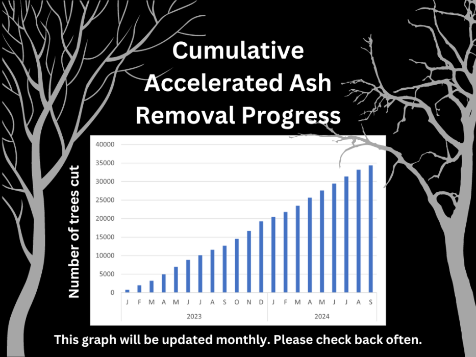 Cumulative progress to end of September